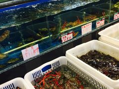 -御唐府海珊瑚主题餐厅