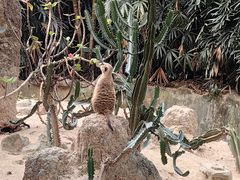 -广州长隆野生动物世界