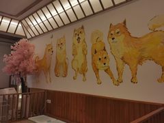 大堂-豆柴町-柴犬主题狗咖(红鼎国际C座店)