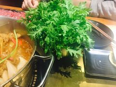 -手选潮汕鲜活牛肉火锅(二七广场店)