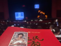 -合肥大剧院