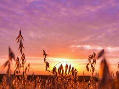 -交通银行(大连瓦房店铁东支行)