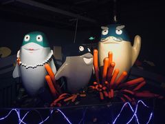 -北戴河圣蓝海洋公园