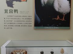 -中国农业博物馆