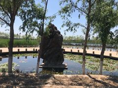 -绿堤公园