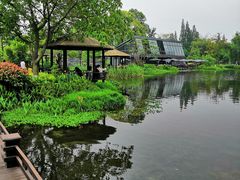 -成飞公园