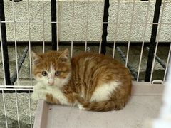 -天津前进宠物医院(前进道店)