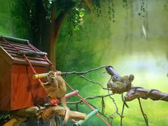 -华夏文旅西安度假区