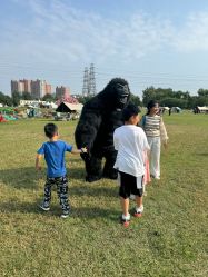 -268童话露营营地·烧烤·团建