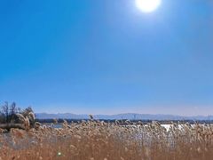 -野鸭湖国家湿地公园