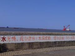 -上海滨江森林公园