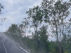 -千岛湖天屿景区