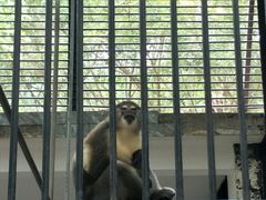 -广东茂名森林公园