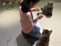 -小时光咖啡馆(开森度假森林店)