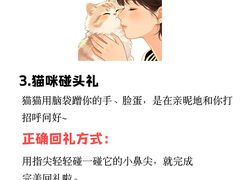-瑞鹏宠物医院·骨外科·心肾科·肿瘤科(九亭店)