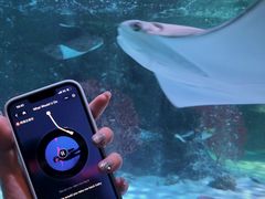 -沈阳海洋探索中心