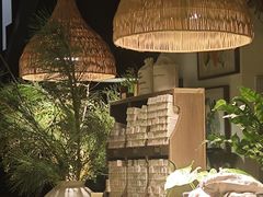 -自由生长植物工作室(深港花卉中心店)
