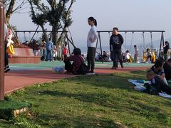 -铁山坪森林公园