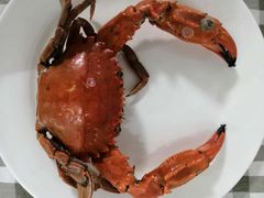 -烁佳海鲜大馅饺子