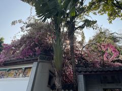 -深圳国际园林花卉博览园