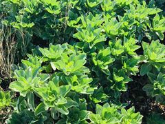 -龙坑生态保护区