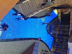 iphone_upload_pic-砂之船奥莱(南京江宁店)