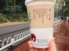 -茶颜悦色(岳麓山顶店)