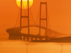 -宝安西湾红树林湿地公园