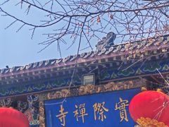 -冶父山国家森林公园