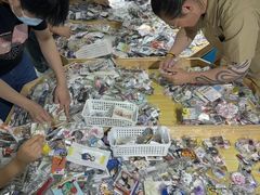 -扑谷(北投购物公园店)