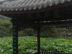 -龙头寺公园