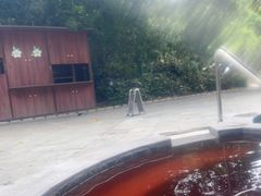 -碧水湾温泉