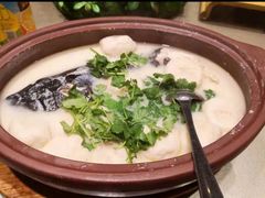鱼头鱼圆豆腐砂锅-尚上座