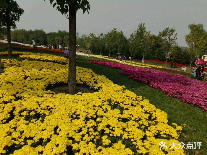 北京國際鮮花港圖片