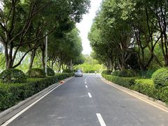 -羊山湖公园