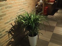 -老阿妈蒙古村·蒙古包·草原文化·歌舞表演(老君堂店)