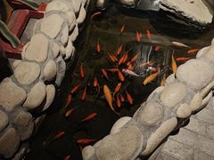 -馬蘭花開(车站大道店)