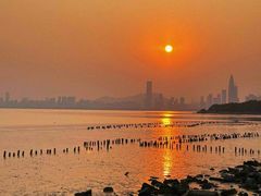 -深圳湾公园(南山区)