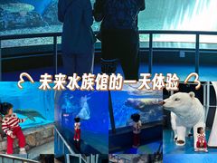 -泉城欧乐堡海洋极地世界