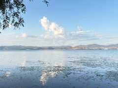 -大理洱海