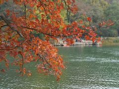 -紫霞湖公园