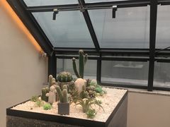 -大树餐厅(红旗街万达店)