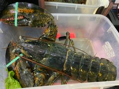 -宝燕壹号(徐汇店)