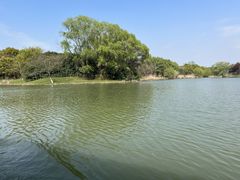 -苏州太湖国家湿地公园