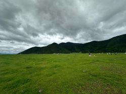 -纳帕海依拉草原