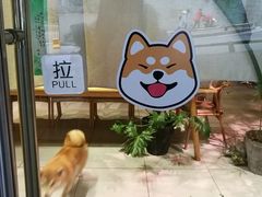 -柴务处·柴犬主题狗咖