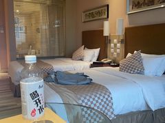 -电谷雅阁国际大酒店
