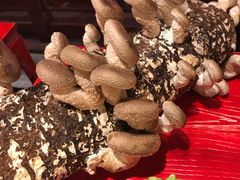 -谭鸭血老火锅(漳州路店)