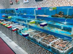 海鲜池-港畔赶海蒸汽海鲜烧烤自助(仙螺岛店)