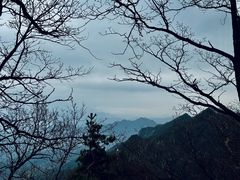 -王顺山国家森林公园